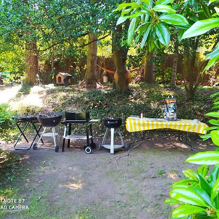 "La Selvetta" Bed And Breakfast Buguggiate 外观 照片